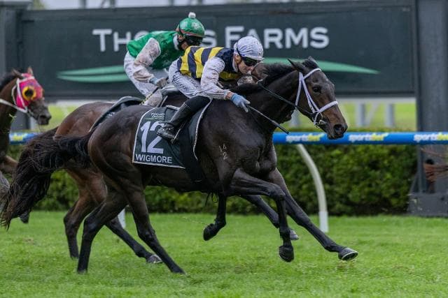 Kiwi-breds land another Classic as Wigmore wins South Australian Derby