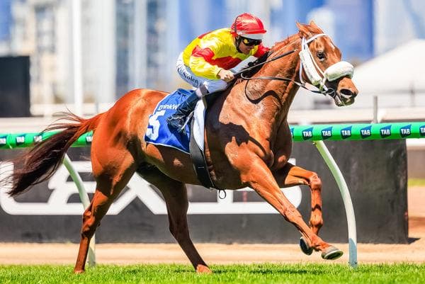 Fourth Black Type Win For All Too Hard’s Arran Bay