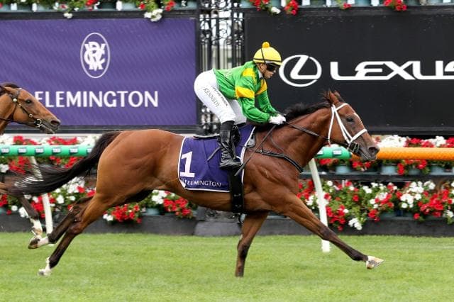 Stoked! Flemington & Murray Bridge