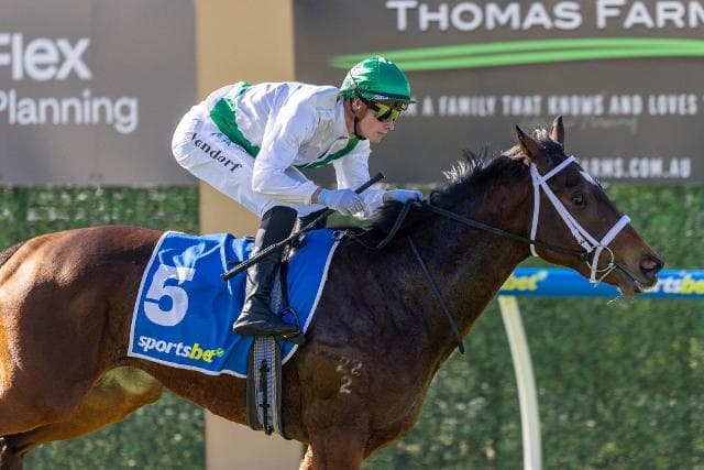 Stoked! Ferivia To Fly