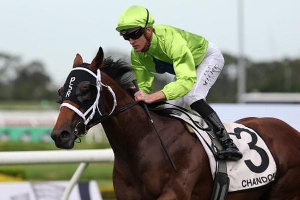 Stakes winners in 3 states