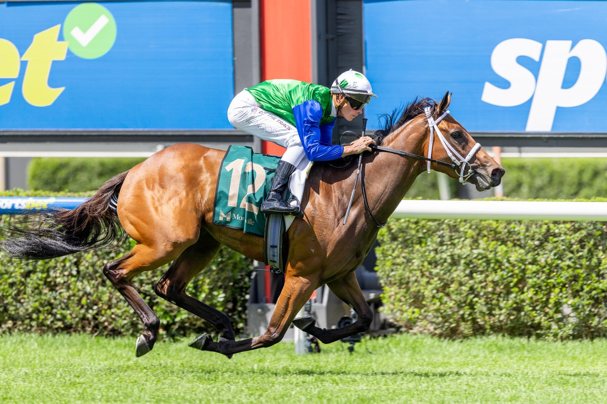 Picture of the author