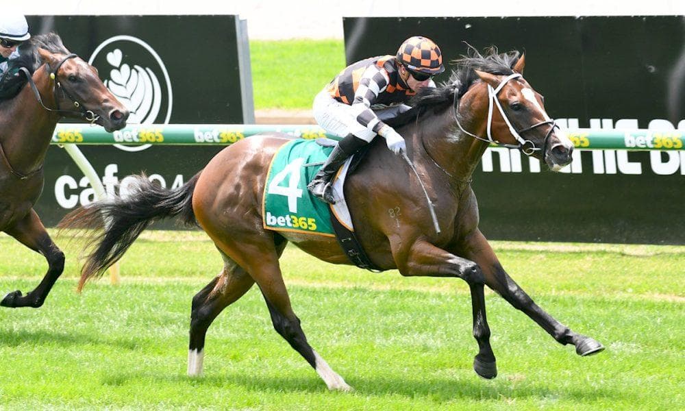 Picture of the author