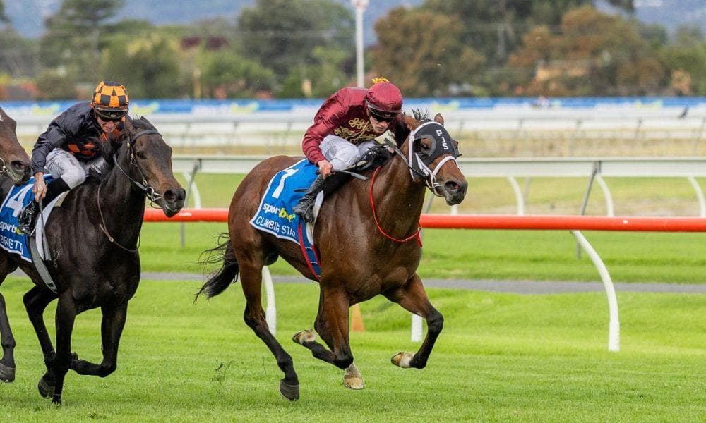 Picture of the author