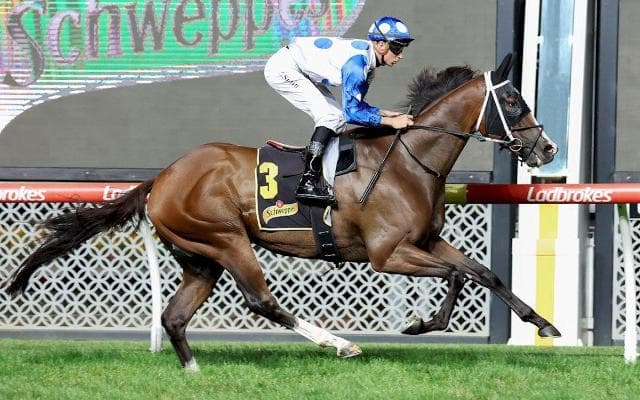 Stoked! The Valley & Morphettville