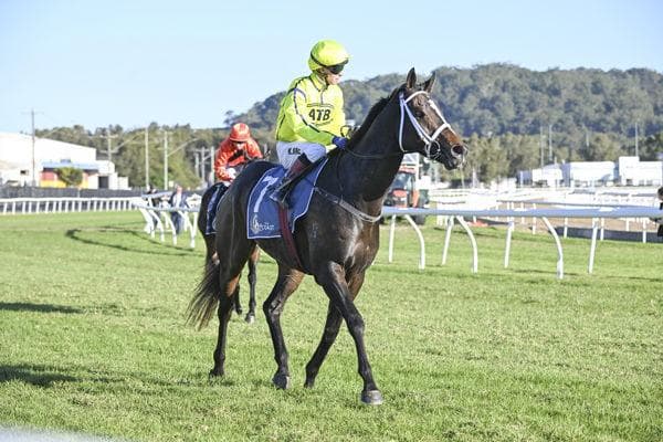 Lucrative Pay Day as Athanatos Wins $500,000 The Coast