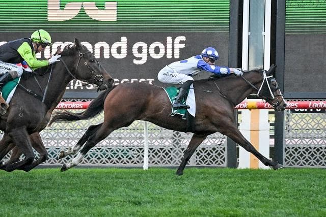 Stoked! A Regal Award