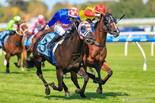 Emotional win for Santic
