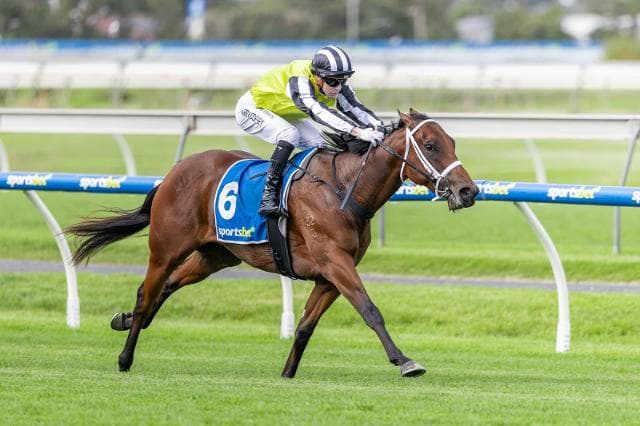 Zousain filly Verzain lands Breeders Stakes
